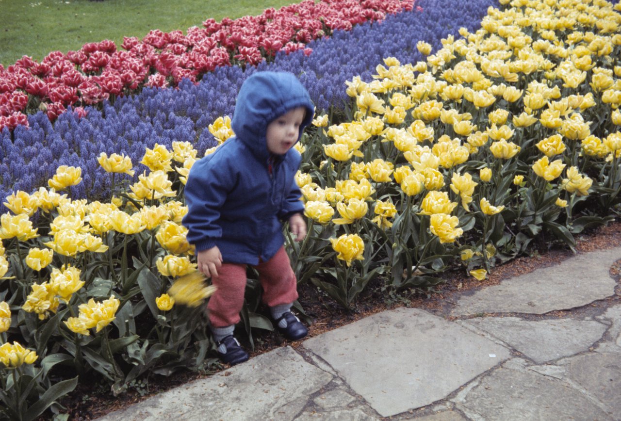 018 D Keukenhof 77-s